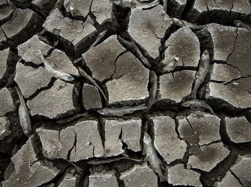 Konya'daki May Barajı'nda acı manzara... Tamamen kurudu