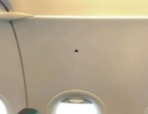 Uçuş görevlisi uçaklardaki siyah üçgenin anlamını TikTok’tan paylaştı