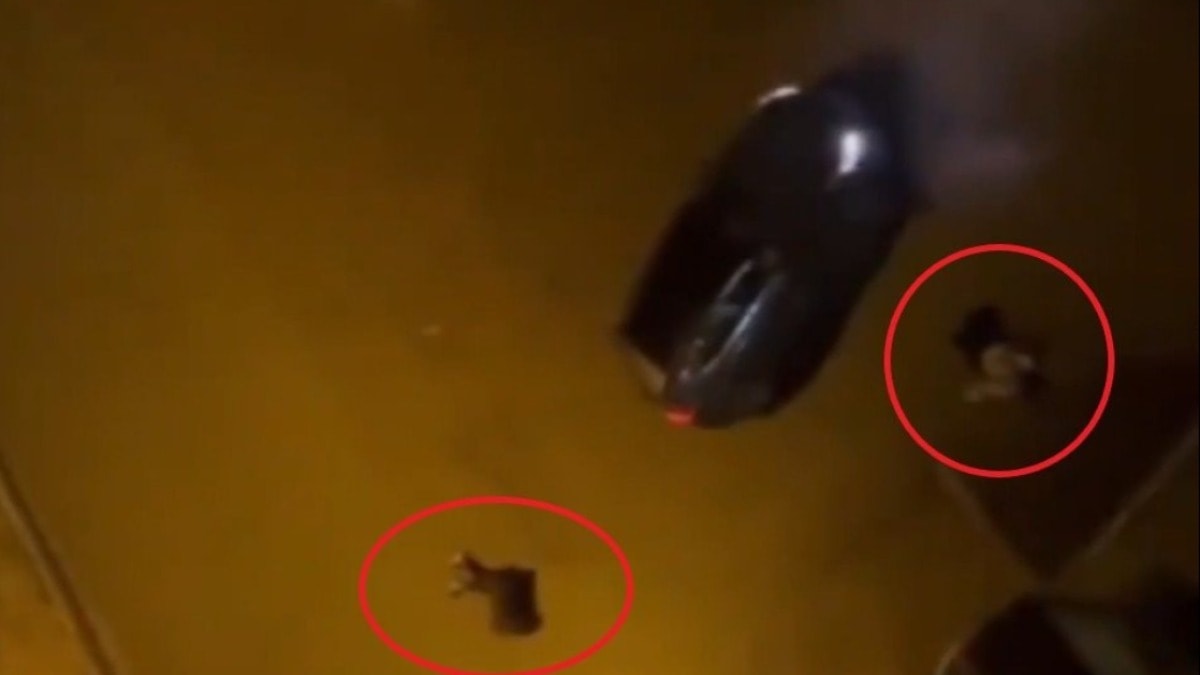 Sevgilisini ve yanındaki erkeği öldürdü