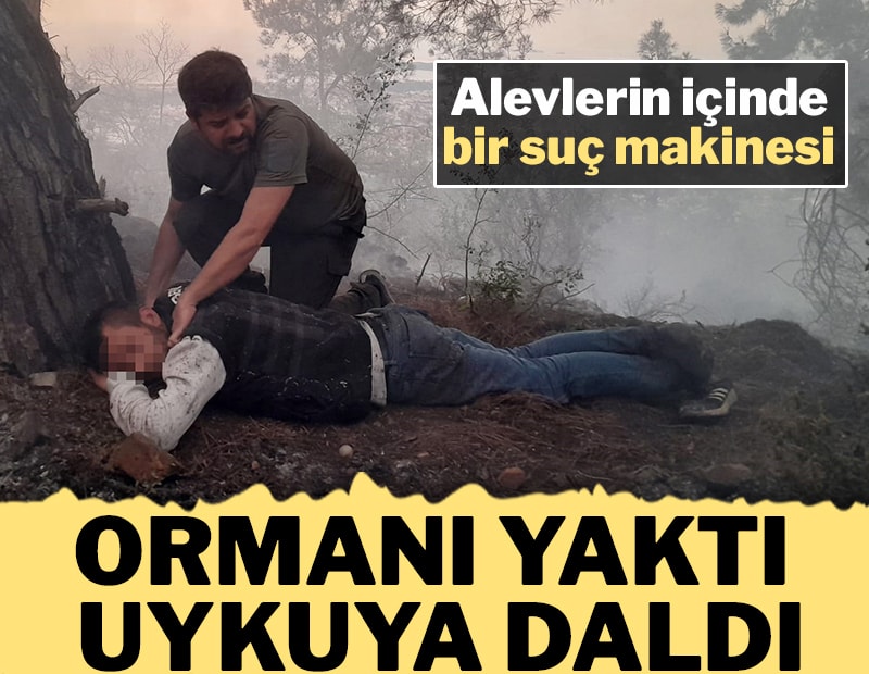 Antalya'da orman yangını