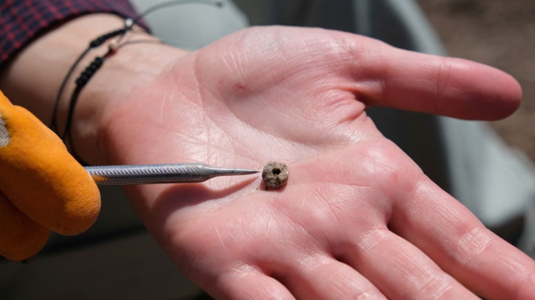 Türkiye'deki bilim insanları keşfetti: Eski insanlar da piercing takıyordu