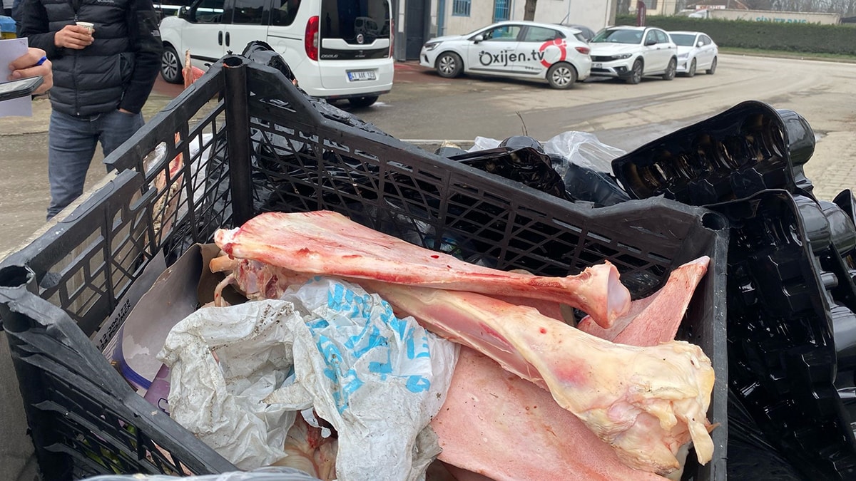 Çöpten at eti ve kemikleri çıktı kasaplar denetleniyor