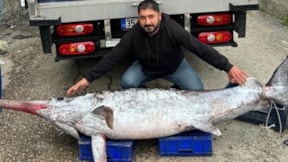 3 metre boyundaki kılıç balığını 30 bin liraya sattı