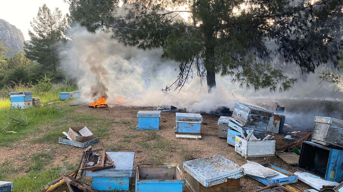 Datça'da orman yangını