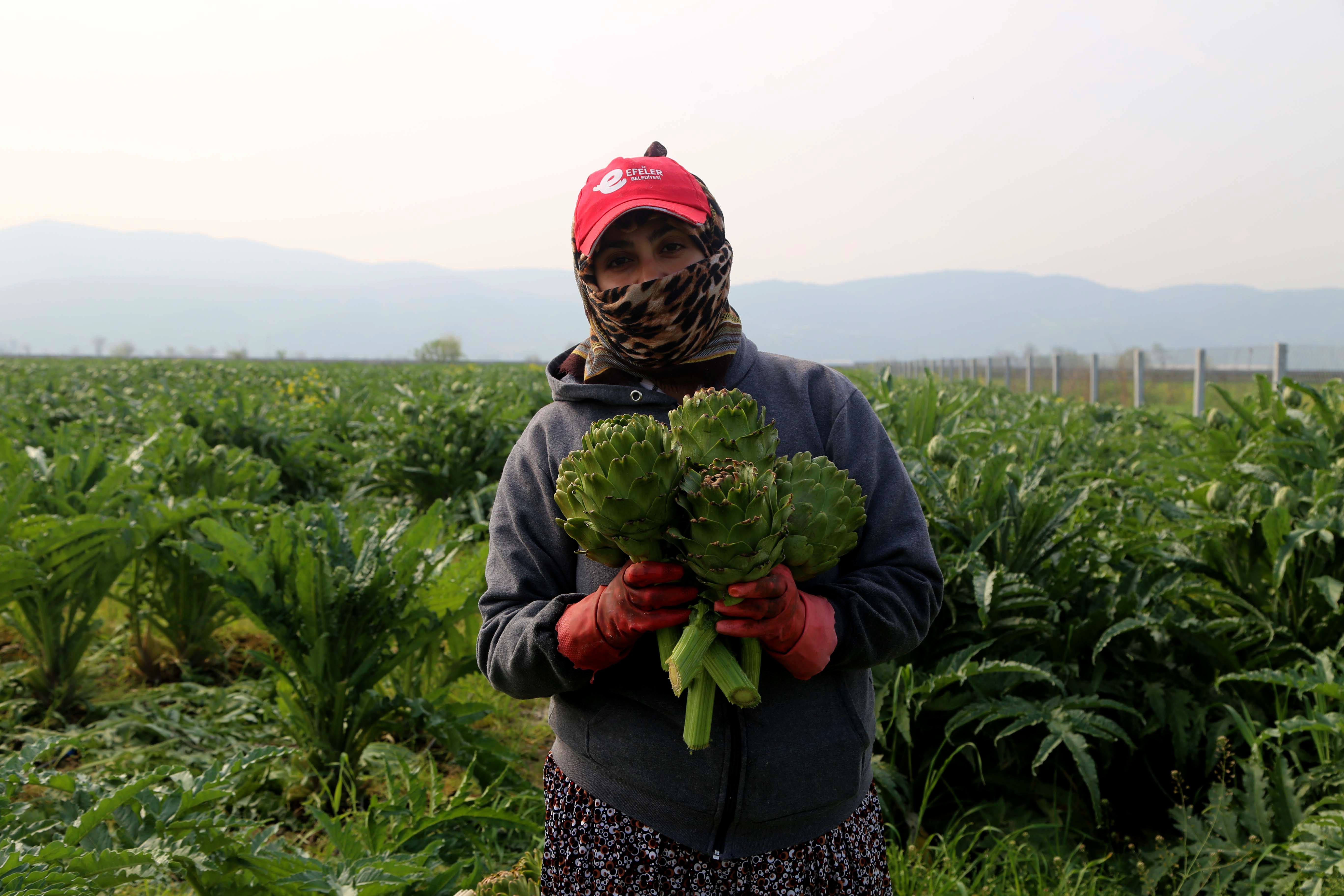 Mevsimlik tarım işçilerinin ücretleri 2023'te yüzde 114,6 arttı