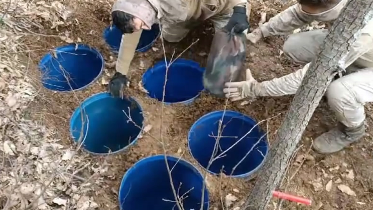 PKK'lı teröristlerin kullandığı 11 sığınak ve 2 depo imha edildi