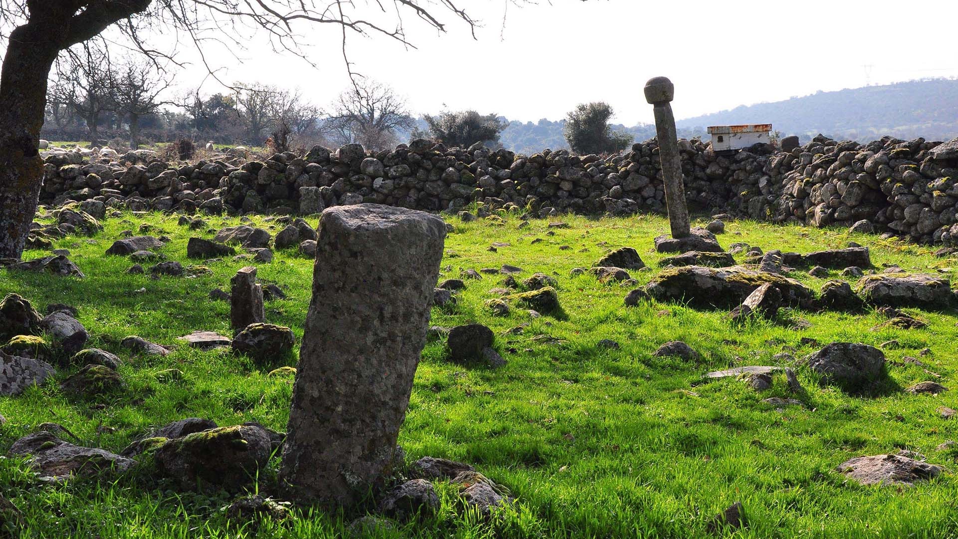 Tarihi mezarlık definecilerin hedefi oldu