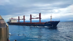 Dev gemi, Çanakkale Boğazı'nda arızalandı