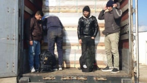 Edirne'de 232 göçmen yakalandı