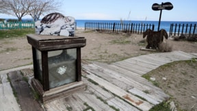 Antalya'da deniz kaplumbağası önlemi: Hedef en az beş bin 300
