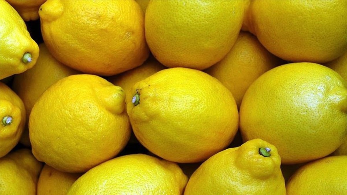 Üreticide 2,50 TL olan limon, markette 18,36 TL'ye satıldı