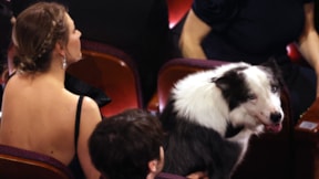 Aday filmin başrolündeki köpek de Oscar Ödülleri'ne katıldı