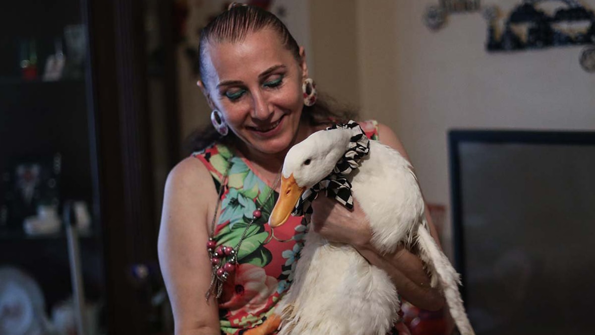 Eros'tan sonra bu kez Pamuk için adalet arayışı