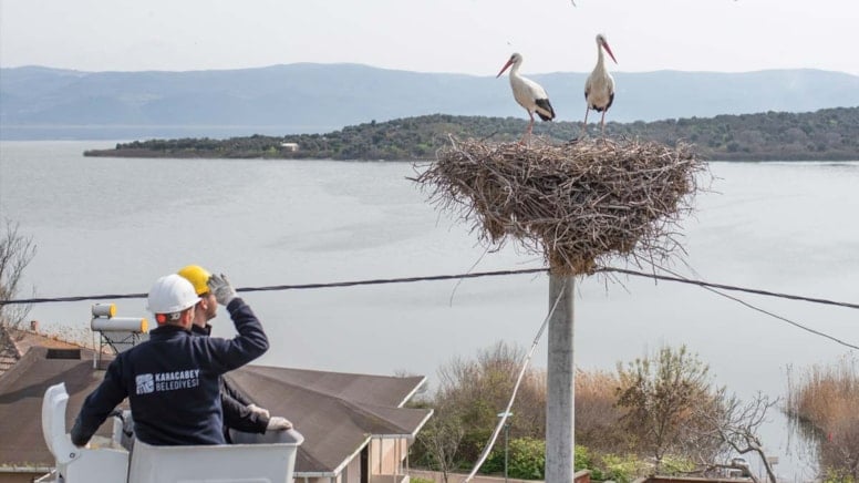 Leylek Köyü'nde yuvalara bahar temizliği geldi