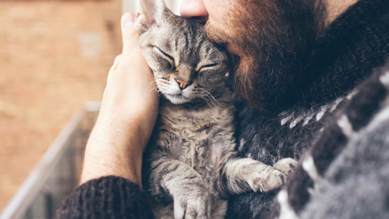 Araştırma sonuçları şaşırttı... Kedi sahiplenmek erkekler arasında daha popüler