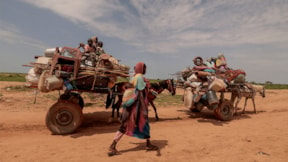 Sudan, savaş ve kıtlığın pençesinde: Aç kalmamak için çekirge yiyorlar