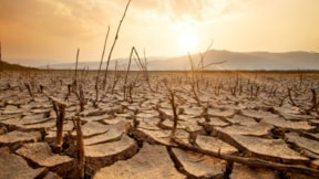 İklim krizine karşı yapabileceğiniz 5 şey