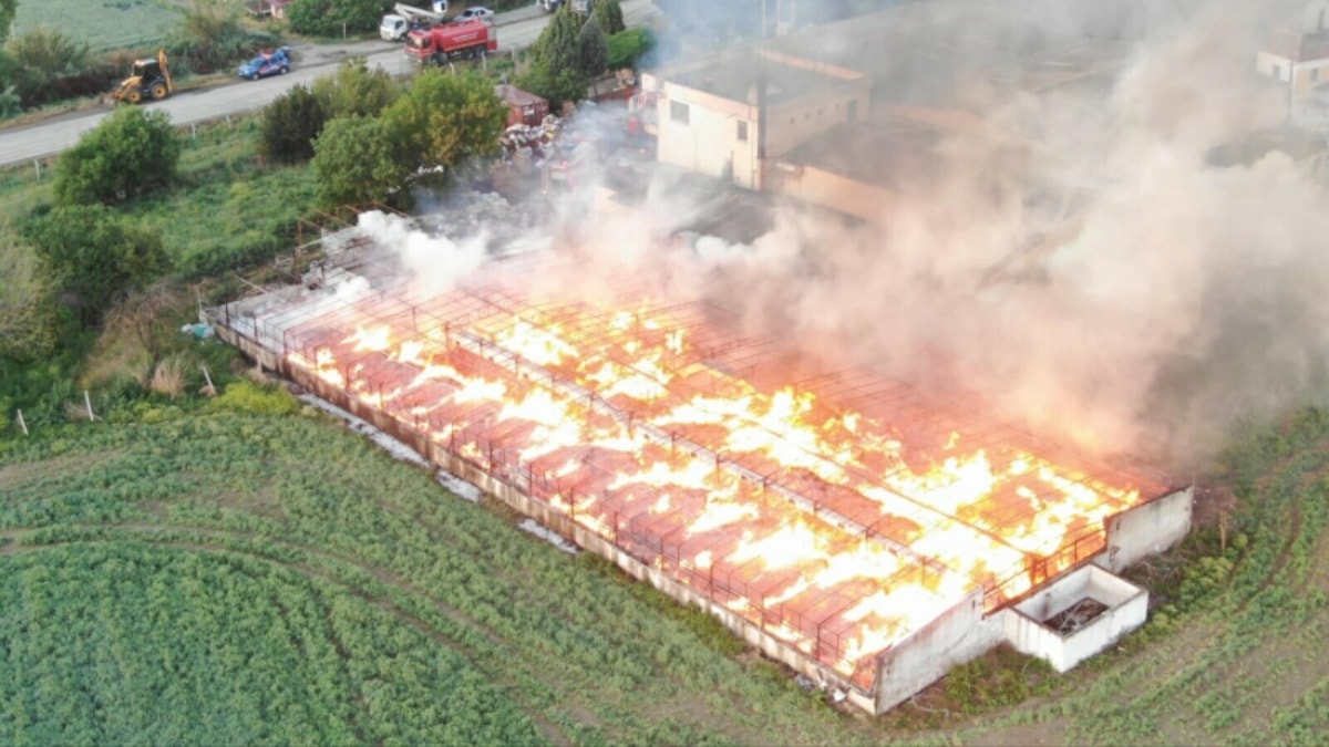 Bütün depo alev alev yandı: 160 ton kül oldu