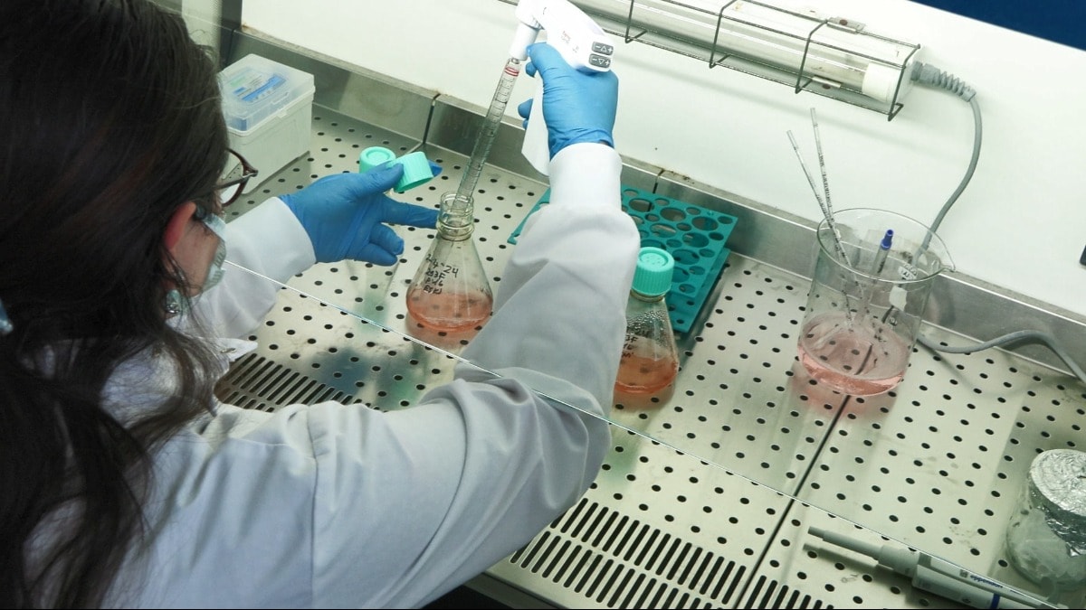 ABD'de kuş gribi krizi: Türk bilim insanları durumu mercek altına aldı