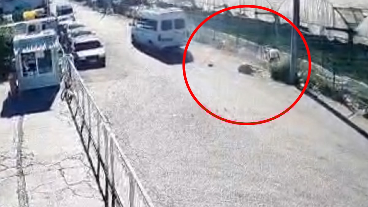 Babasıyla tartışanları kamyonetle ezdi... 'Fren tutmadı' savunması