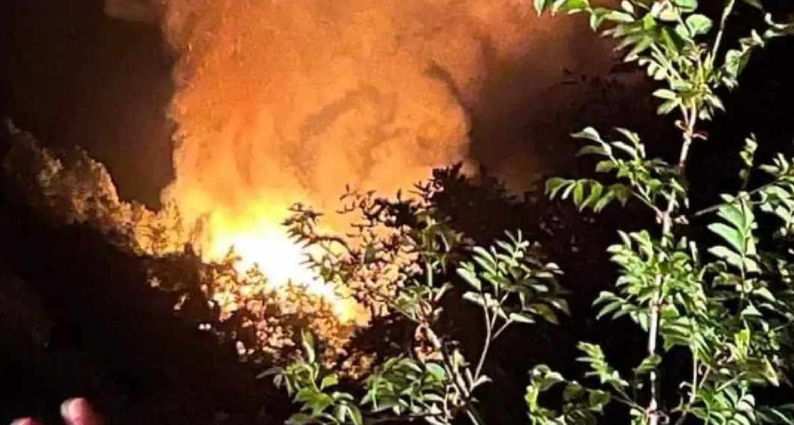 Yalova'da orman yangını çıktı: 2 gözaltı