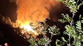 Yalova'da orman yangını çıktı: 2 gözaltı