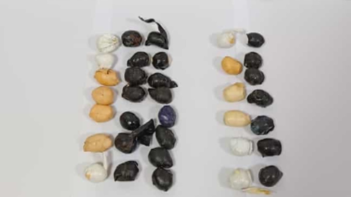 Midesinde uyuşturucuyla yakalanan 2 şüpheli tutuklandı