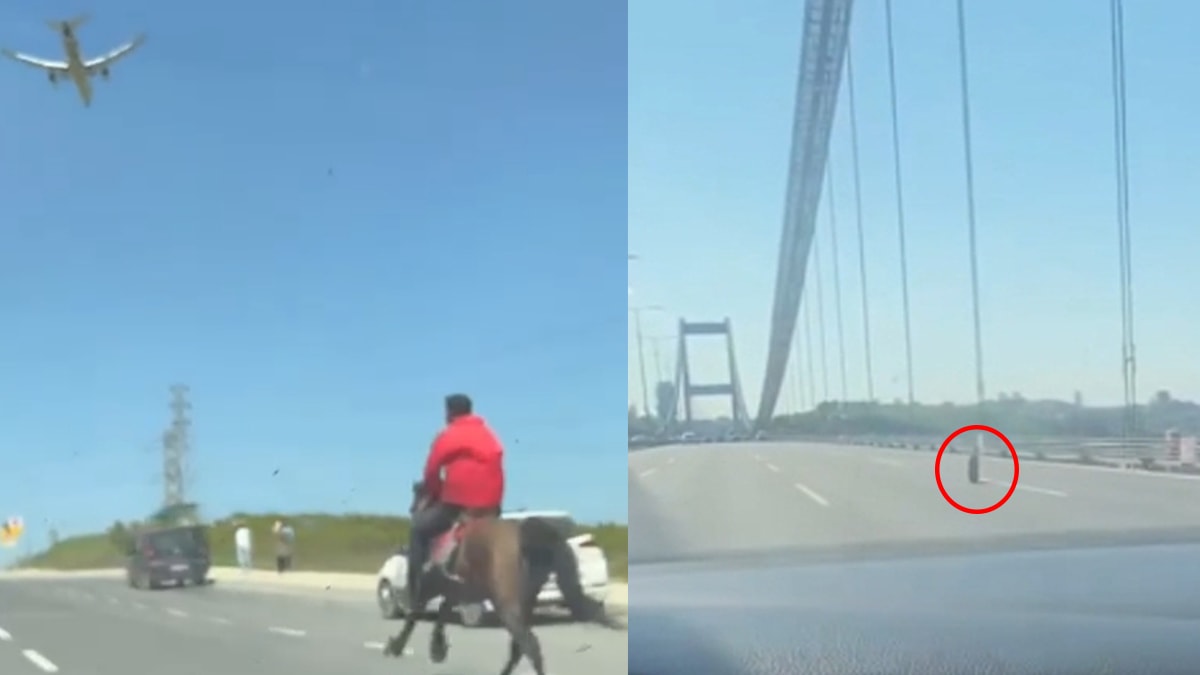 İstanbul'da ilginç anlar: Lastik yerinden fırladı, atla trafiğe çıktı...