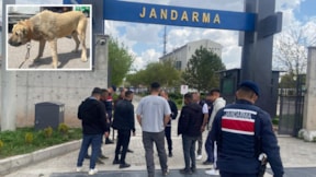 Aksaray'da köpek dövüştüren 14 kişi yakalandı