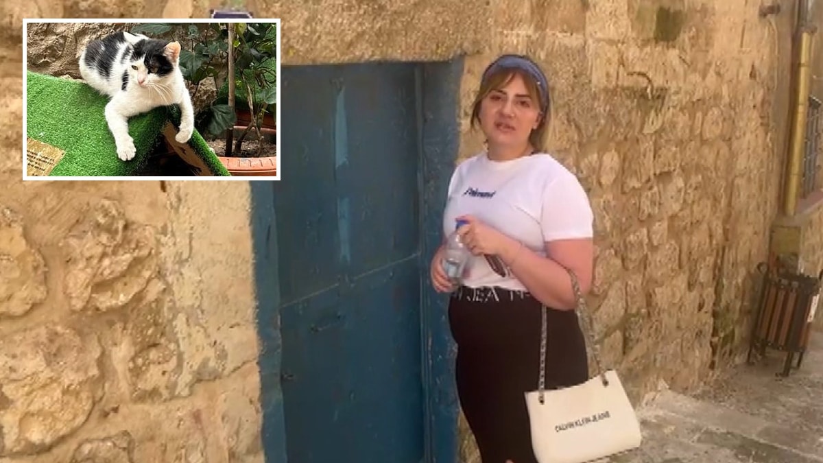 Ev sahibi 5 saatte ikna edildi: Bir haftadır mahsur kalan kedi kurtarıldı