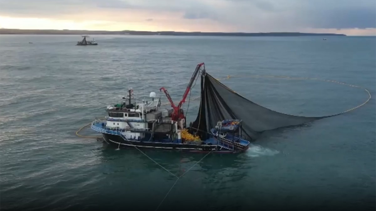 Ekonomik zorluk balıkçılığı da vurdu