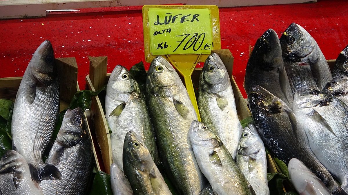 Balık fiyatları fırladı