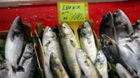 Balık fiyatları fırladı