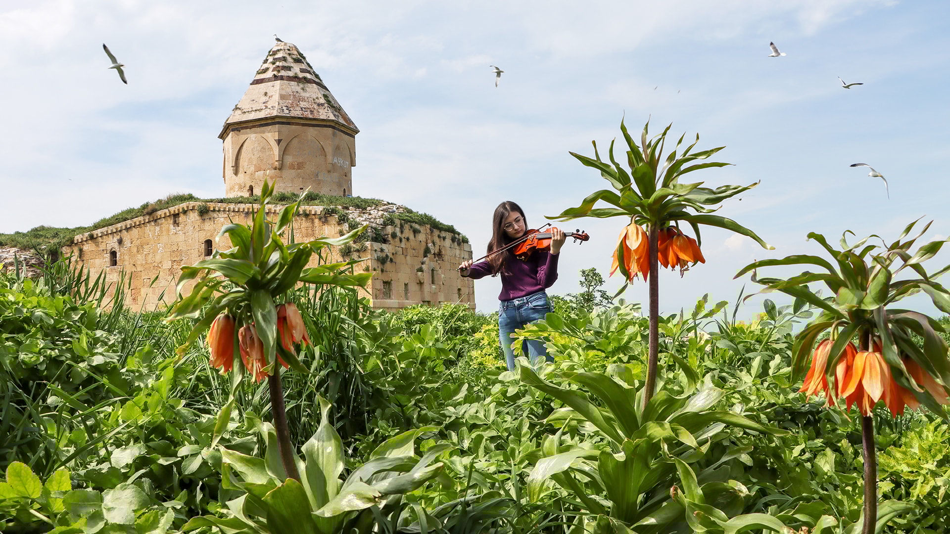 Ters laleler, badem ağaçları, martılar... İşte ilkbaharda renklenen Çarpanak Adası