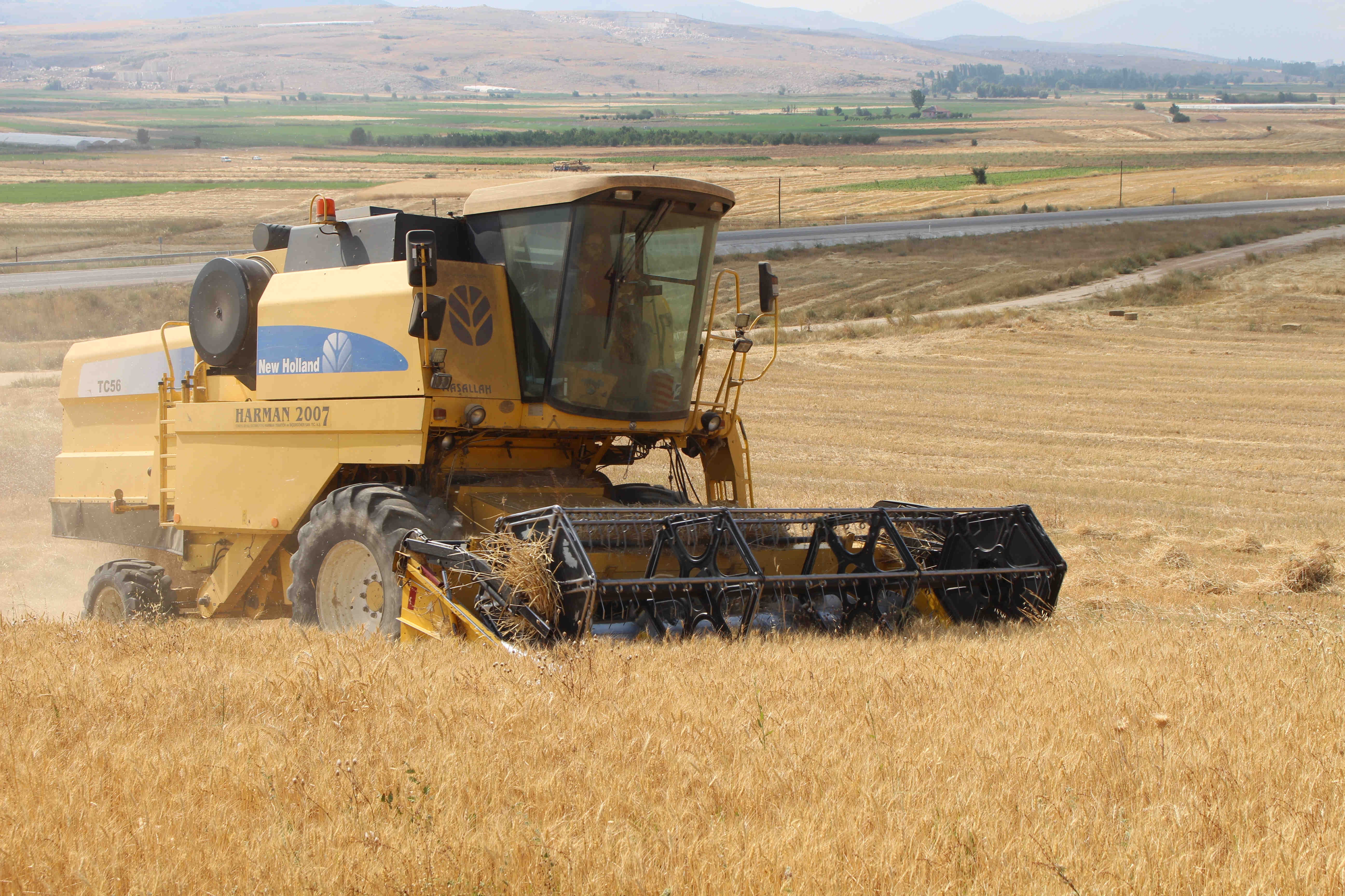 Çiftçiler kaygılı: Buğday alım fiyatının açıklanmasını bekliyor