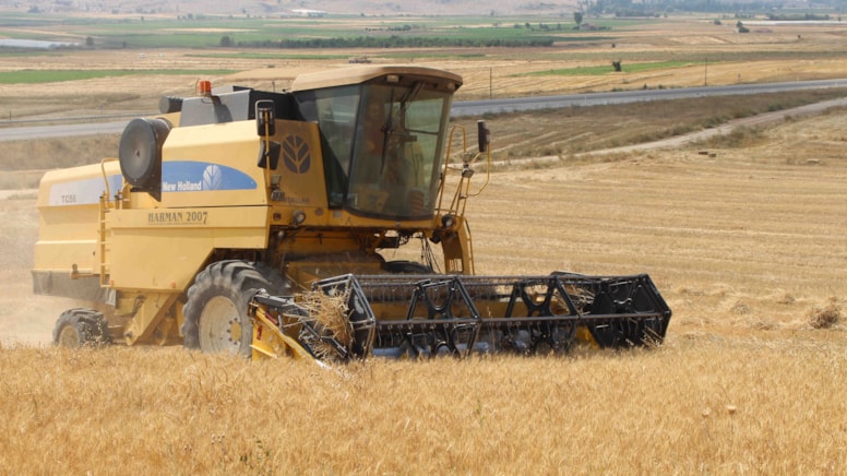 Çiftçiler kaygılı: Buğday alım fiyatının açıklanmasını bekliyor