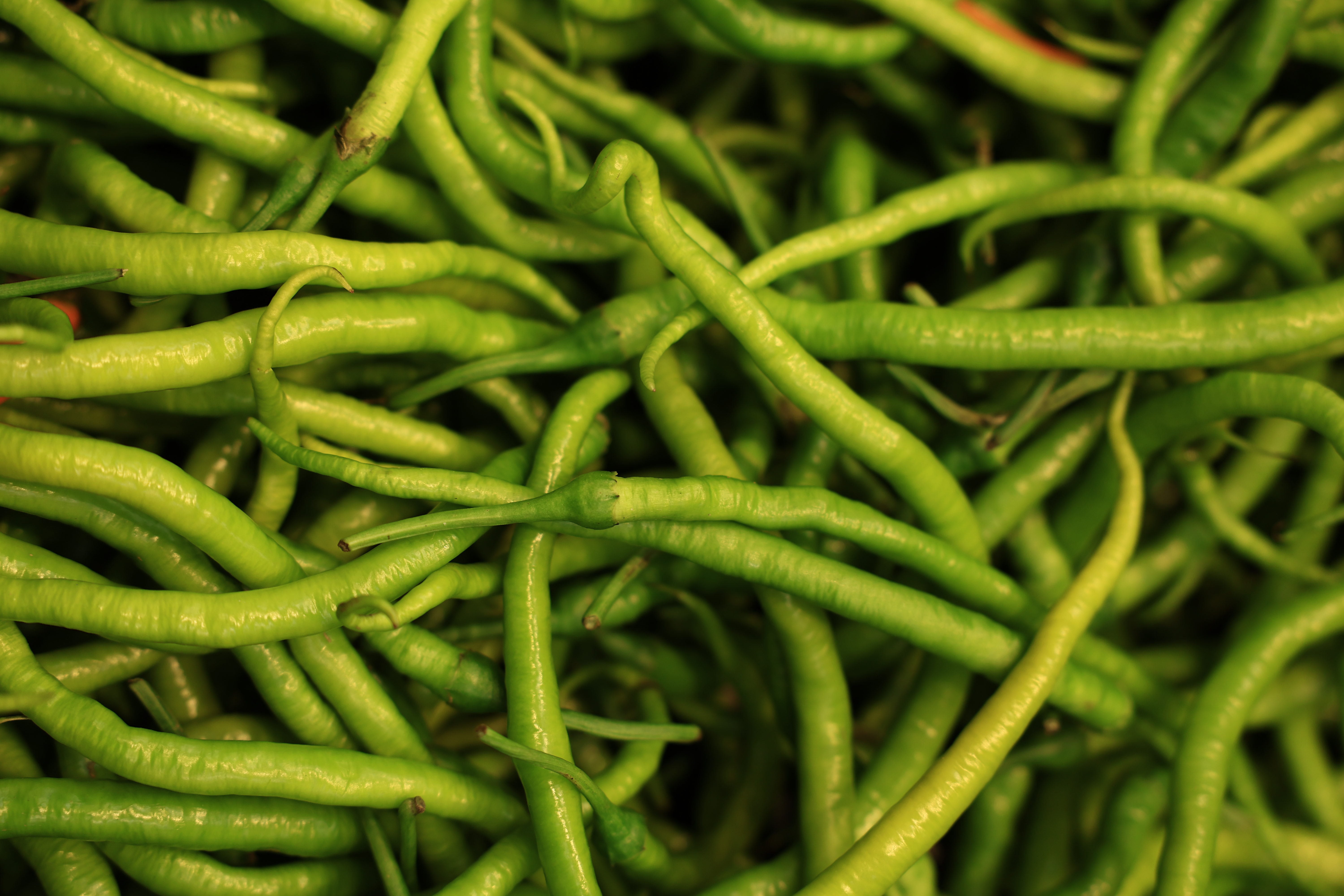 İstanbul'un zam şampiyonu sivri biber