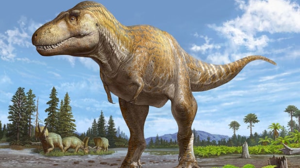 Dinozorlarla ilgili çarpıcı araştırma: 'Çok zeki değillerdi'