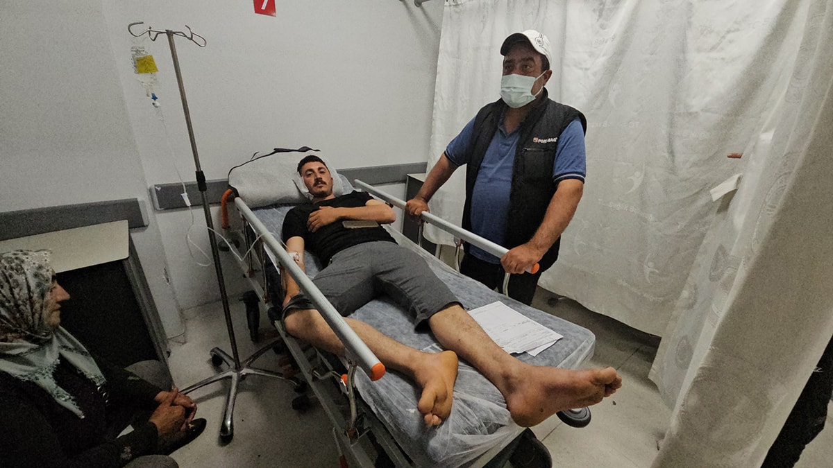 Mantar toplamaya gitti, ayının saldırısına uğradı