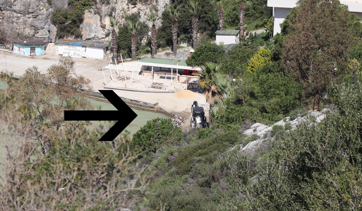 Fokların barınma alanını cehenneme çevirdiler