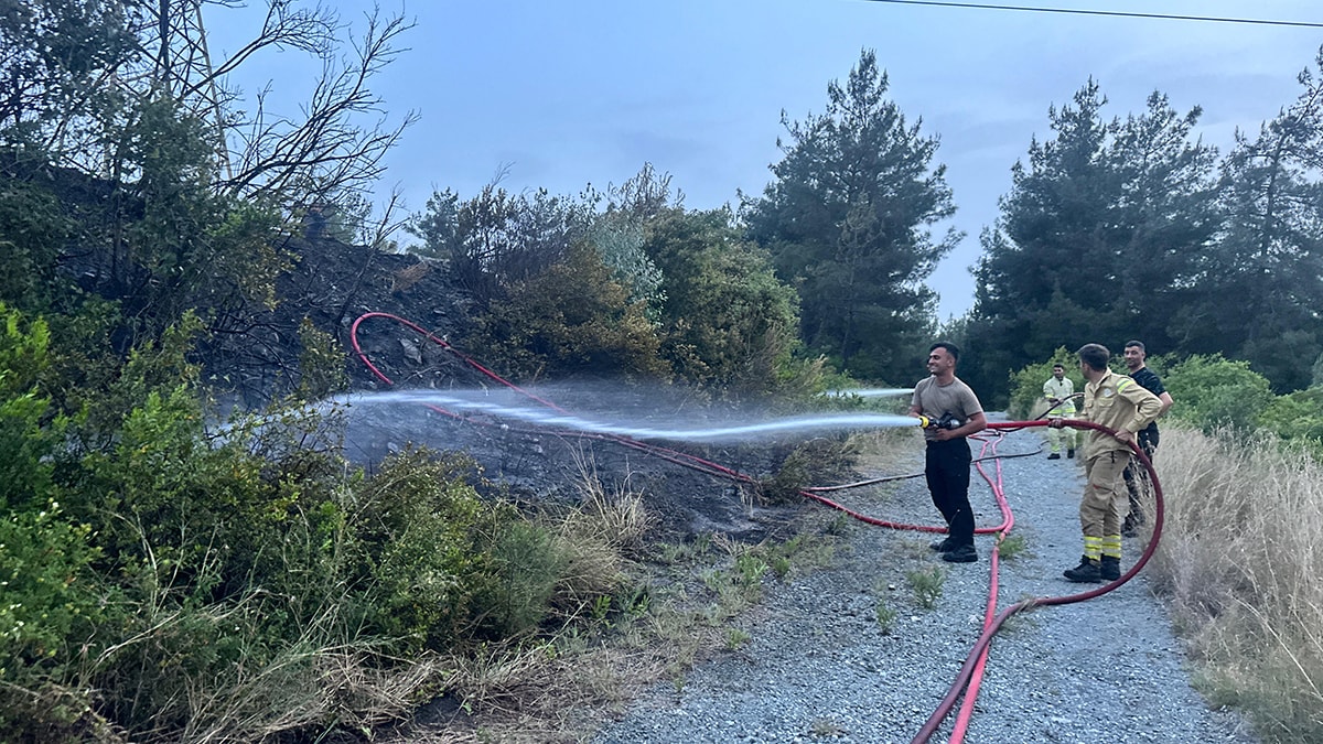 Hatay'da orman yangını