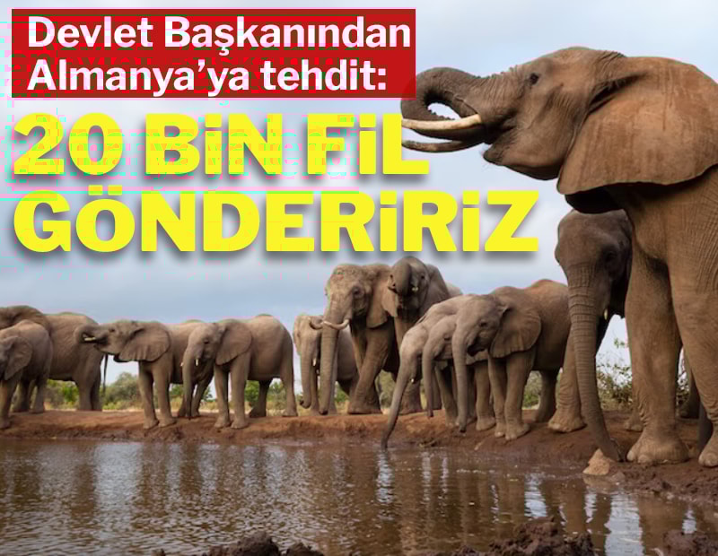 Almanya'ya tehdit: 20 bin fil g�ndeririz