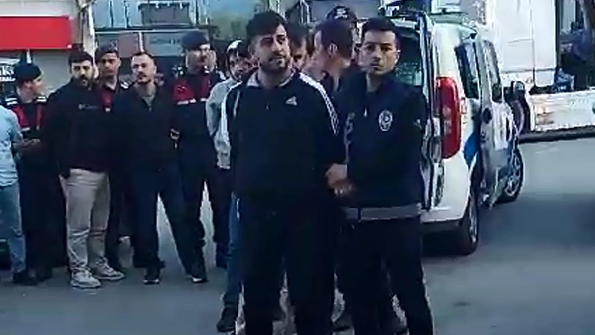 Bu da oldu! Kargodan göçmen çıktı
