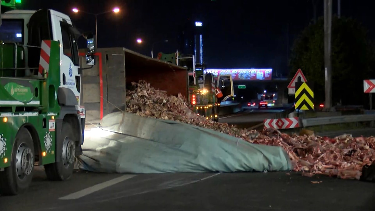 Kamyon devrildi, kemikler yola saçıldı
