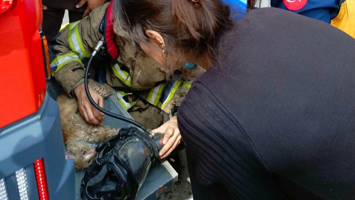 İzmir'de yürek ısıtan kurtarma