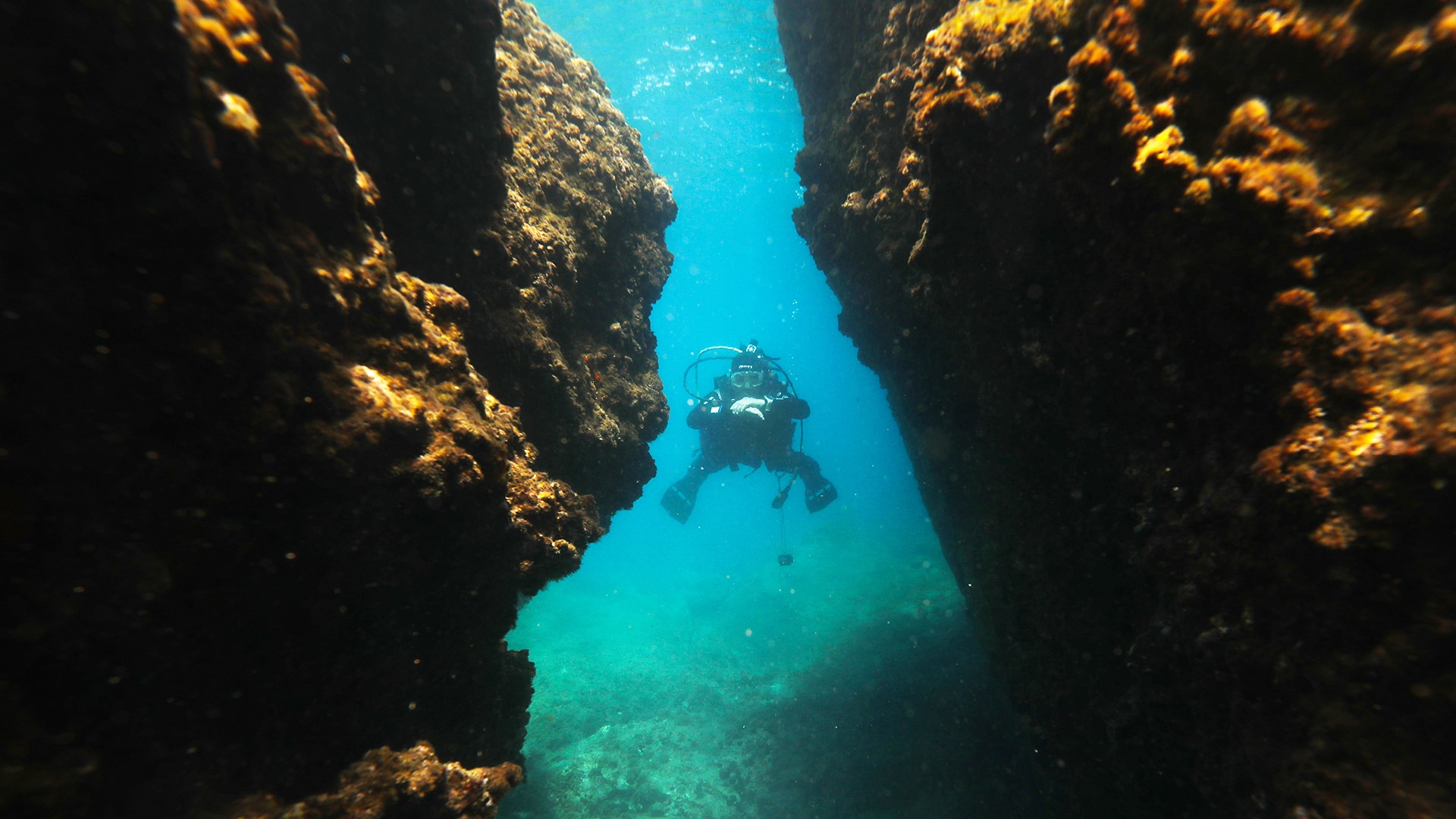 Kuşadası'nda dalış turizmi erken hareketlendi
