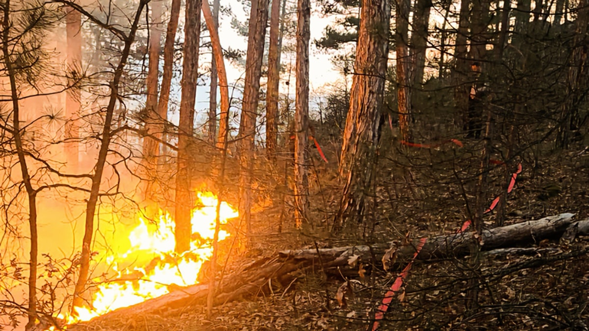 K�tahya'da orman yang�n� ��kt�