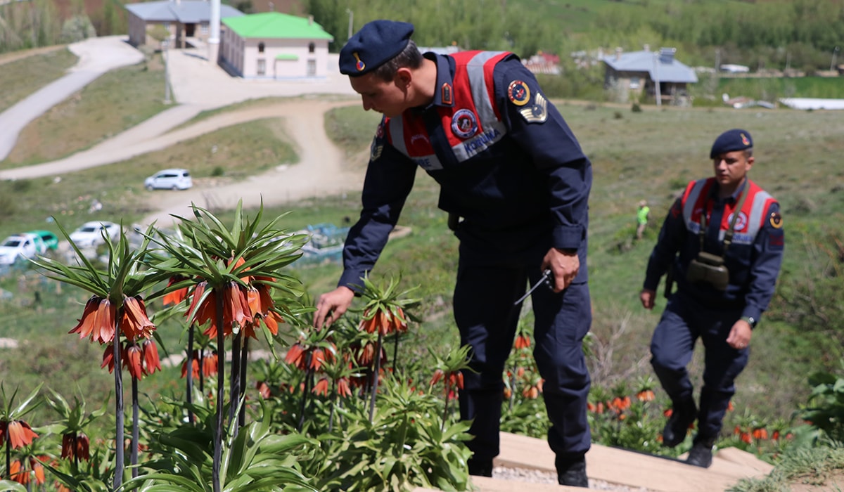 Ters laleler jandarma korumasında