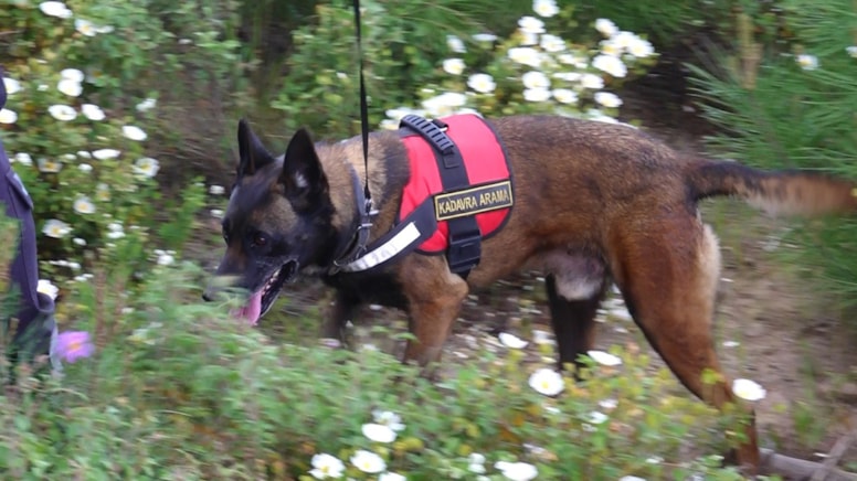 Kadavra köpekleri Berzeg'den bir iz arıyor: Çember daraldı, hedef kafatası