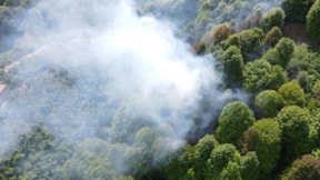 Çanakkale'de orman yangını uyarısı